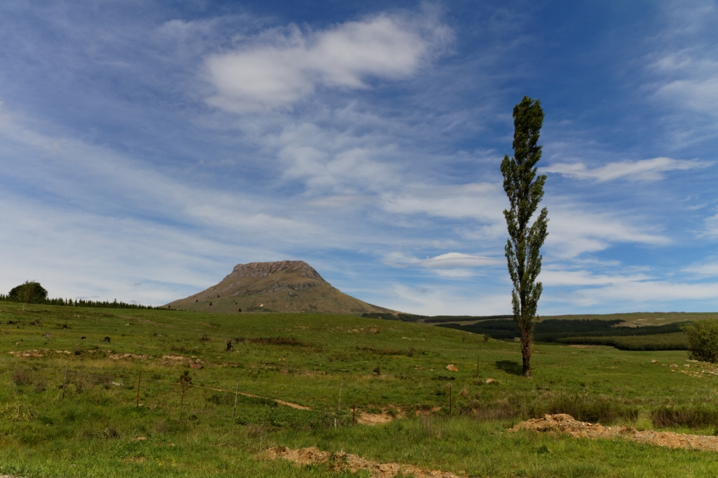 06 - Addo Elephant NP (27).jpg